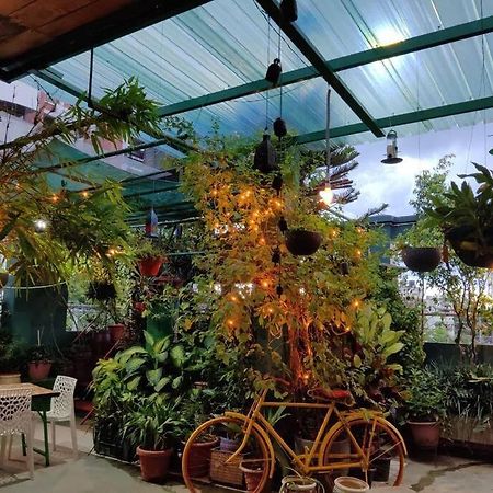 The Nook Rooftop Condo And Garden Guwahati Zewnętrze zdjęcie