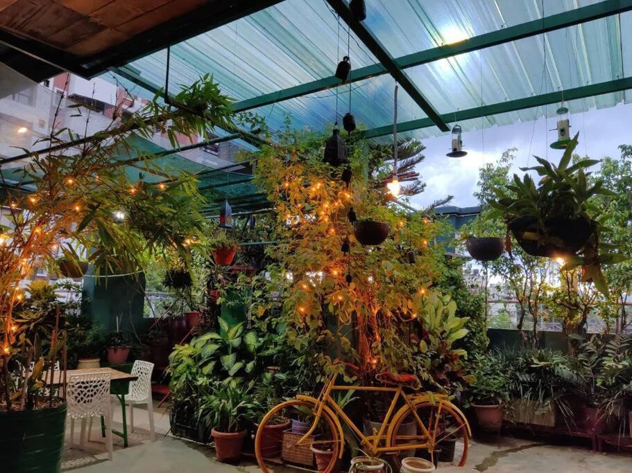 The Nook Rooftop Condo And Garden Guwahati Zewnętrze zdjęcie
